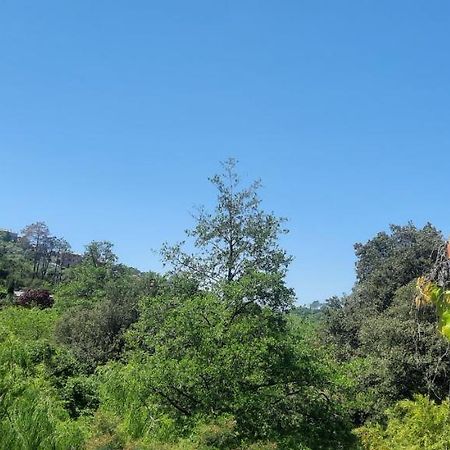 Chiesanuova Vecchio Mulino Fontona Girasole公寓 外观 照片