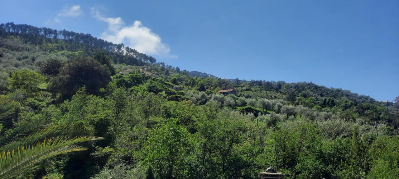 Chiesanuova Vecchio Mulino Fontona Girasole公寓 外观 照片