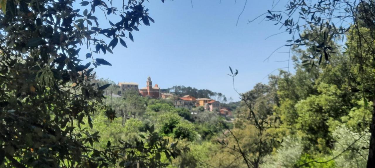 Chiesanuova Vecchio Mulino Fontona Girasole公寓 外观 照片